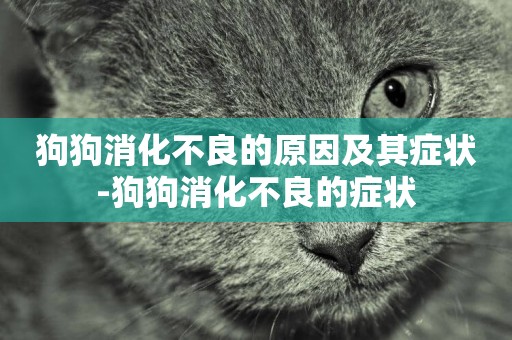 狗狗消化不良的原因及其癥狀-狗狗消化不良的癥狀