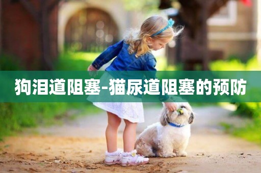 狗淚道阻塞-貓尿道阻塞的預防