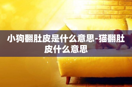 小狗翻肚皮是什么意思-貓翻肚皮什么意思