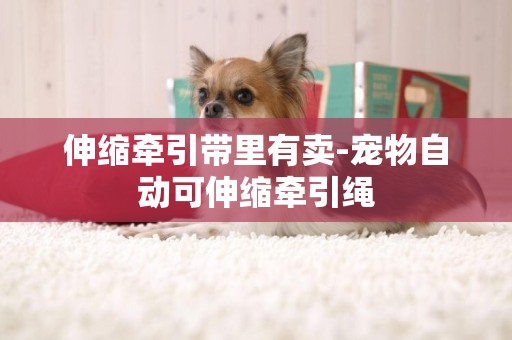 伸縮牽引帶里有賣-寵物自動可伸縮牽引繩