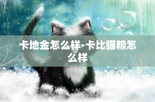 卡地金怎么樣-卡比貓糧怎么樣