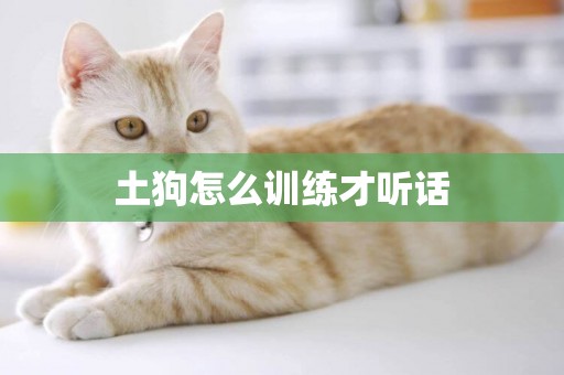 土狗怎么訓練才聽話