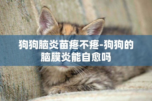 狗狗腦炎苗疼不疼-狗狗的腦膜炎能自愈嗎
