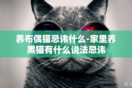 養布偶貓忌諱什么-家里養黑貓有什么說法忌諱