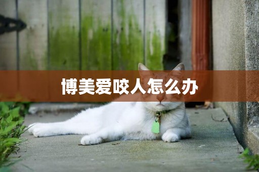 博美愛咬人怎么辦