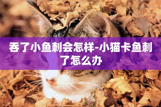 吞了小魚刺會怎樣-小貓卡魚刺了怎么辦