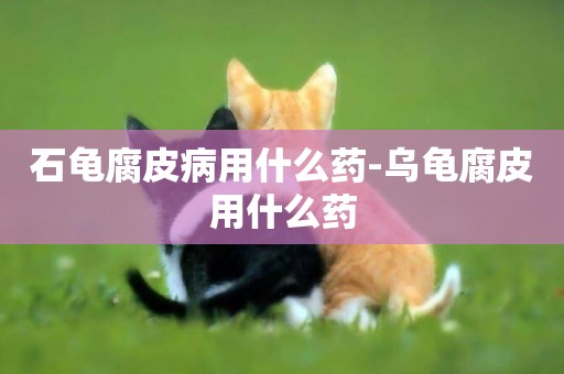 石龜腐皮病用什么藥-烏龜腐皮用什么藥