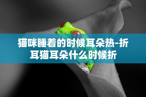 貓咪睡著的時候耳朵熱-折耳貓耳朵什么時候折