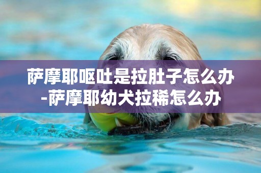 薩摩耶嘔吐是拉肚子怎么辦-薩摩耶幼犬拉稀怎么辦