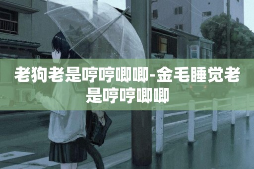 老狗老是哼哼唧唧-金毛睡覺老是哼哼唧唧