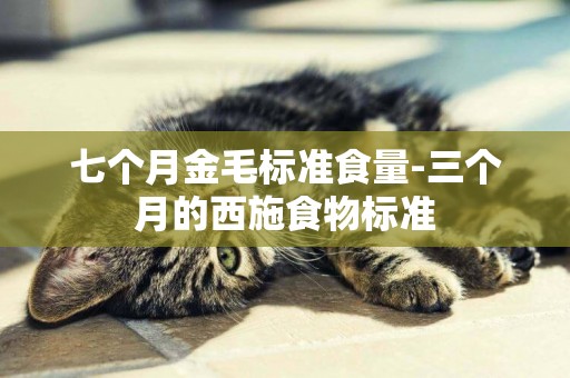 七個月金毛標準食量-三個月的西施食物標準
