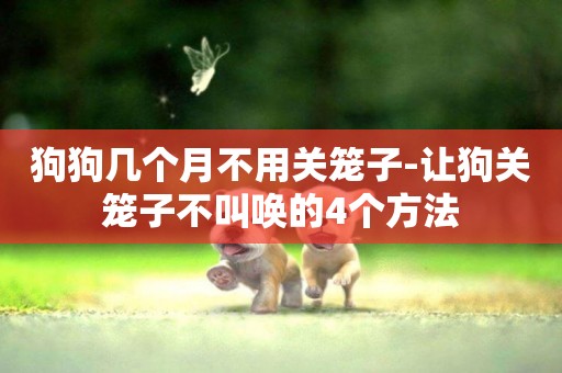 狗狗幾個月不用關籠子-讓狗關籠子不叫喚的4個方法