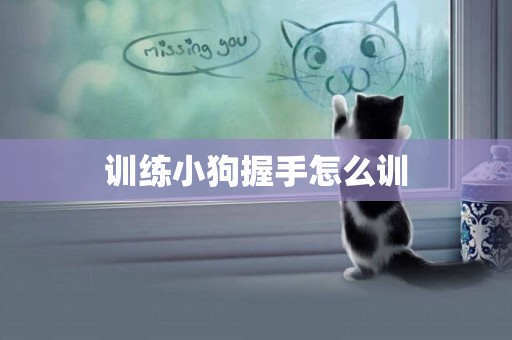 訓練小狗握手怎么訓