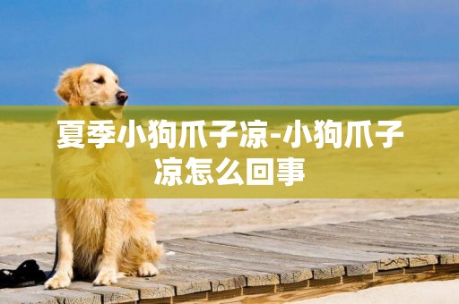夏季小狗爪子涼-小狗爪子涼怎么回事