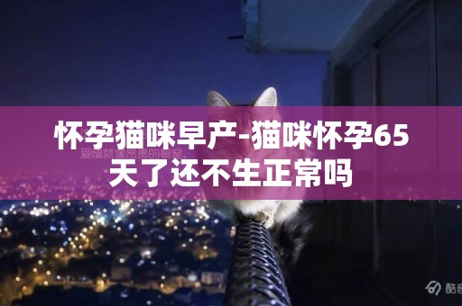 懷孕貓咪早產-貓咪懷孕65天了還不生正常嗎