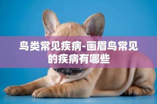 鳥類常見疾病-畫眉鳥常見的疾病有哪些