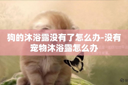 狗的沐浴露沒有了怎么辦-沒有寵物沐浴露怎么辦