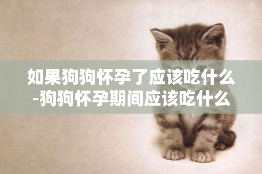 如果狗狗懷孕了應該吃什么-狗狗懷孕期間應該吃什么又應該注意哪些事