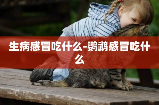 生病感冒吃什么-鸚鵡感冒吃什么