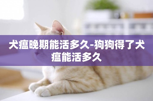 犬瘟晚期能活多久-狗狗得了犬瘟能活多久