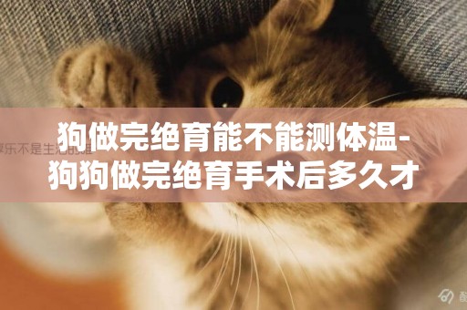 狗做完絕育能不能測體溫-狗狗做完絕育手術后多久才能活動