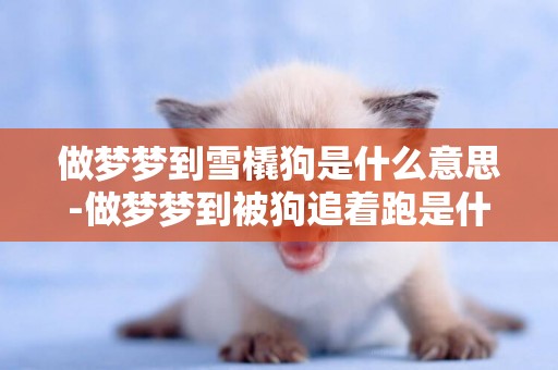 做夢夢到雪橇狗是什么意思-做夢夢到被狗追著跑是什么意思