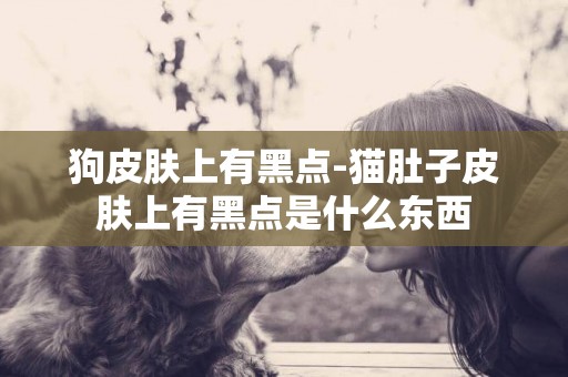 狗皮膚上有黑點-貓肚子皮膚上有黑點是什么東西