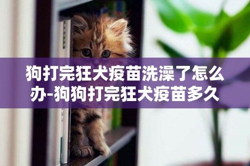 狗打完狂犬疫苗洗澡了怎么辦-狗狗打完狂犬疫苗多久能洗澡