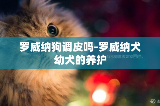 羅威納狗調皮嗎-羅威納犬幼犬的養護