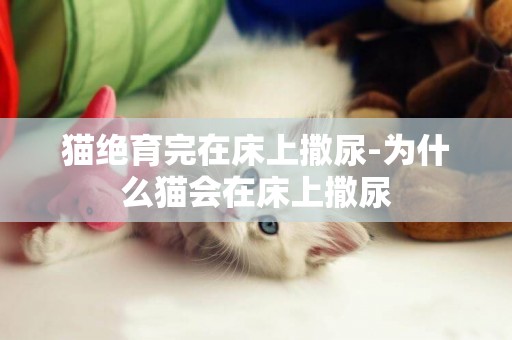貓絕育完在床上撒尿-為什么貓會在床上撒尿
