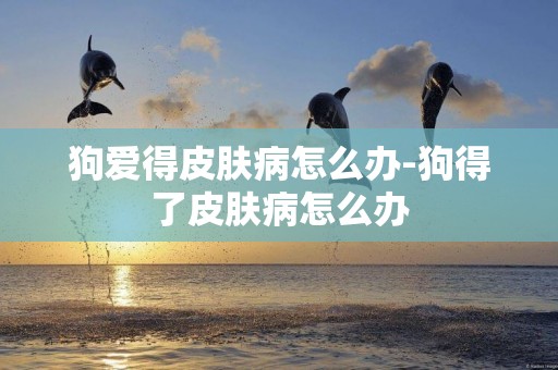 狗愛得皮膚病怎么辦-狗得了皮膚病怎么辦