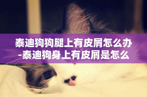 泰迪狗狗腿上有皮屑怎么辦-泰迪狗身上有皮屑是怎么回事