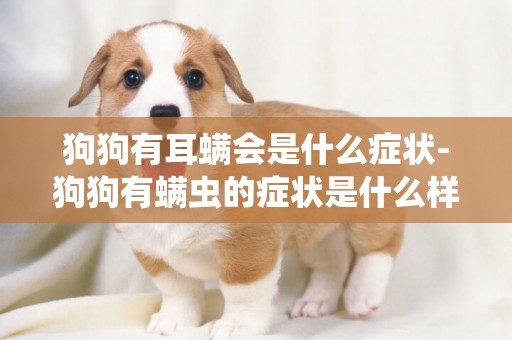 狗狗有耳螨會是什么癥狀-狗狗有螨蟲的癥狀是什么樣子的