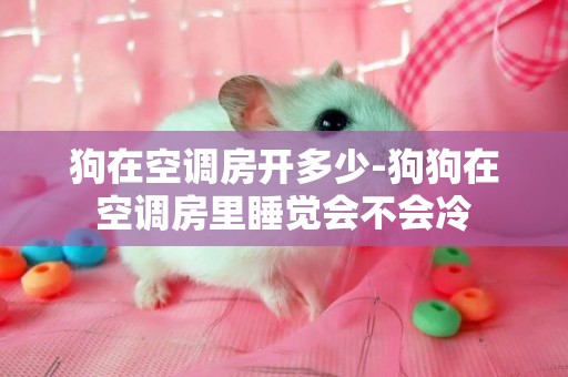 狗在空調房開多少-狗狗在空調房里睡覺會不會冷