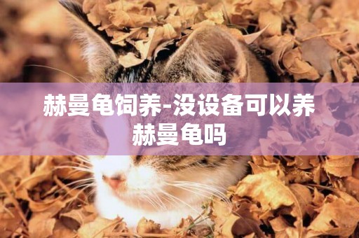 赫曼龜飼養-沒設備可以養赫曼龜嗎
