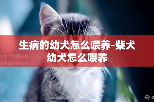 生病的幼犬怎么喂養-柴犬幼犬怎么喂養
