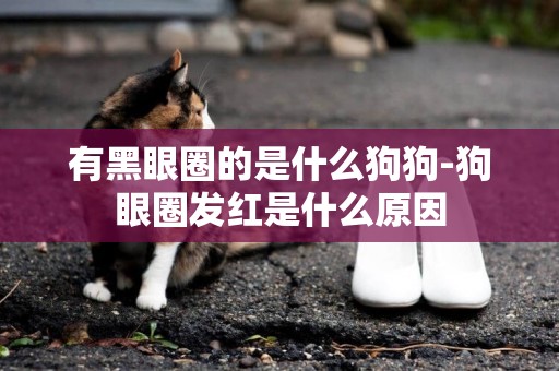 有黑眼圈的是什么狗狗-狗眼圈發紅是什么原因