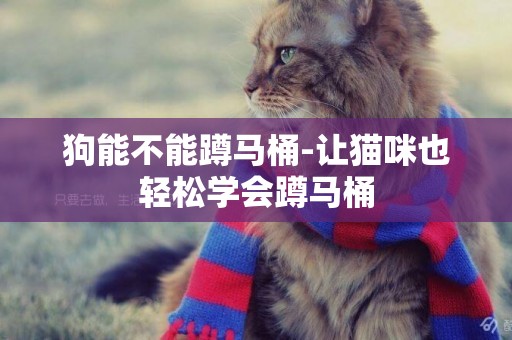 狗能不能蹲馬桶-讓貓咪也輕松學會蹲馬桶