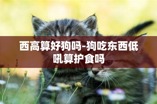 西高算好狗嗎-狗吃東西低吼算護食嗎
