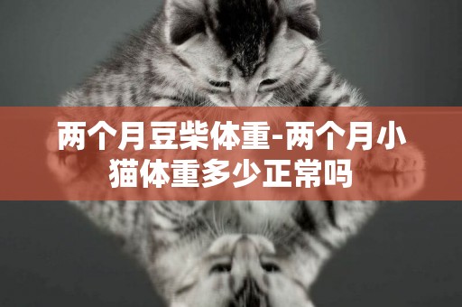 兩個月豆柴體重-兩個月小貓體重多少正常嗎