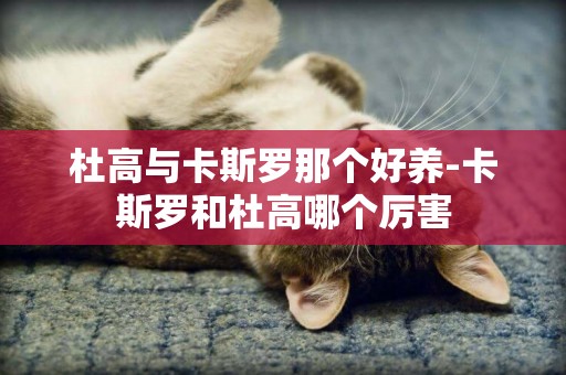 杜高與卡斯羅那個好養-卡斯羅和杜高哪個厲害