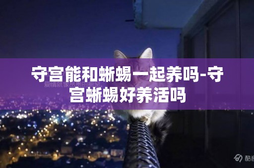 守宮能和蜥蜴一起養嗎-守宮蜥蜴好養活嗎
