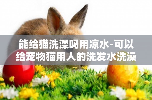 能給貓洗澡嗎用涼水-可以給寵物貓用人的洗發水洗澡嗎