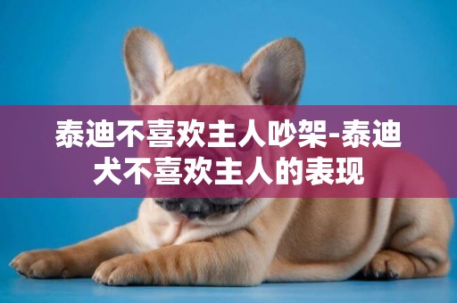 泰迪不喜歡主人吵架-泰迪犬不喜歡主人的表現