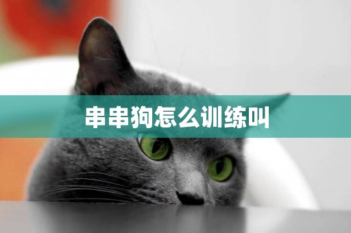 串串狗怎么訓練叫