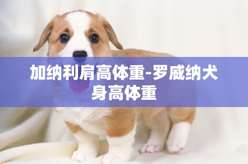 加納利肩高體重-羅威納犬身高體重