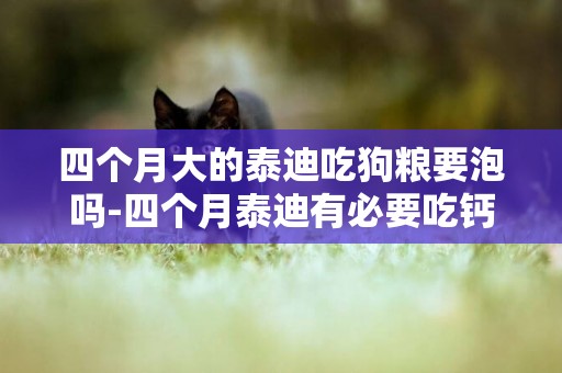 四個月大的泰迪吃狗糧要泡嗎-四個月泰迪有必要吃鈣粉嗎