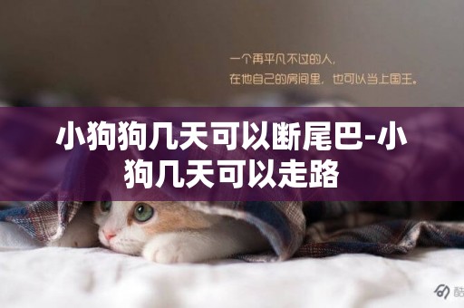 小狗狗幾天可以斷尾巴-小狗幾天可以走路