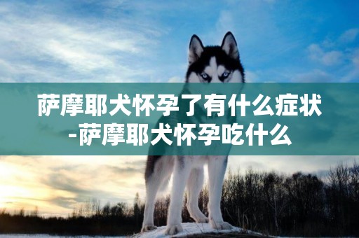 薩摩耶犬懷孕了有什么癥狀-薩摩耶犬懷孕吃什么