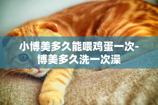 小博美多久能喂雞蛋一次-博美多久洗一次澡